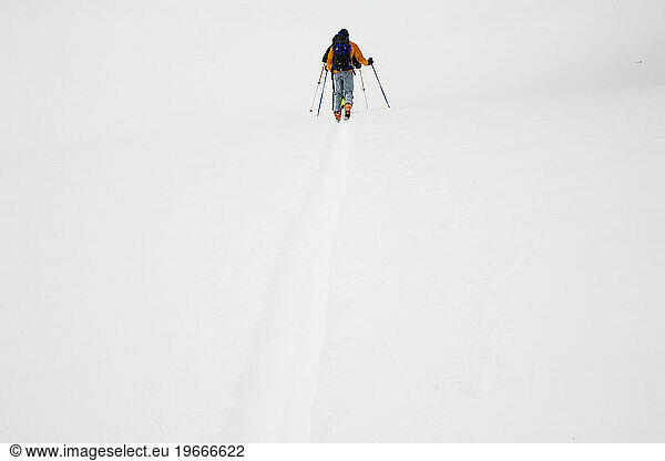 A skier follows a track in the backcountry.