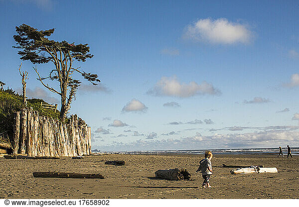 A small child walks on a wide empty beach with driftwood