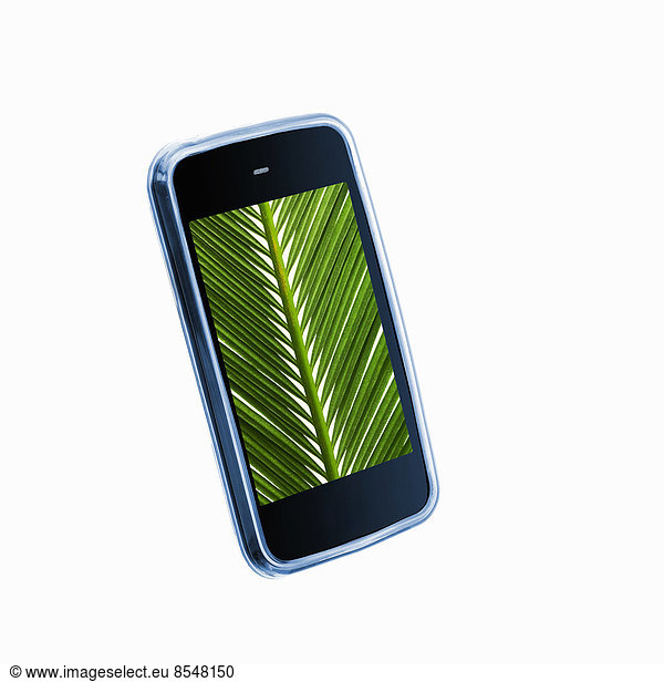 A small handheld communication device or phone with a green palm leaf image on the screen.