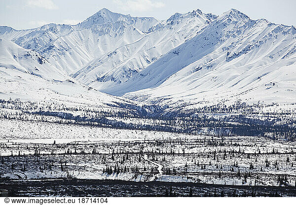 A small road  covered in snow  leads towards the Chugach Mountains from Glenn Highway  Alaska.