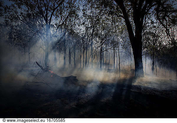 A smoking log still burns after a wildfire in Queensland Australia