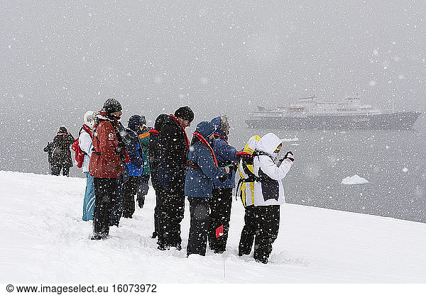 A snowstorm hits tourist in Portal Point  Antarctica.