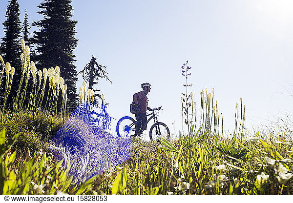 A solo mountain biker stops in the Bear Grass to take in the view