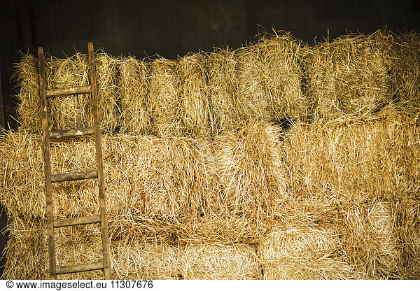 A stack of hay bales with a ladder.