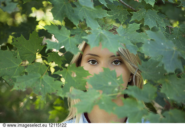 A teenage girl with blond hair and brown eyes standing in the foliage of a tree with her face obscured by leaves; Connecticut  United States of America