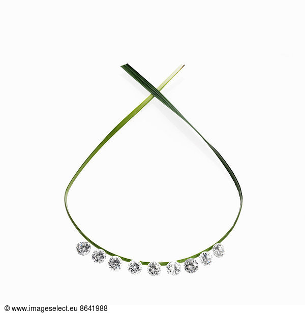 A thin green strap leaf in a loop with small sparkling gem cut clear glass beads. A necklace with a natural feel.