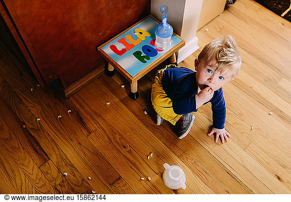 A toddler boy eats cereal off the floor.