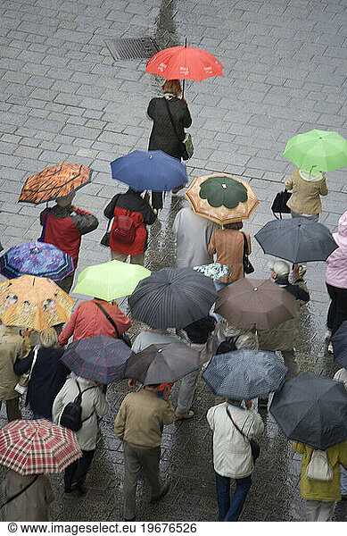 A Tour Group walking in the rain. Vienna  Austria  Central Europe
