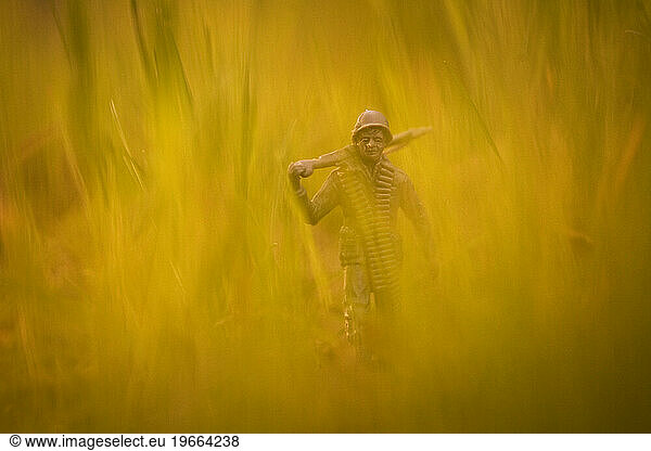 A toy army soldier walks through golden grass.