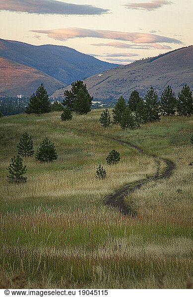 A trail at Blue Mountain Recreation area near Missoula  Montana.