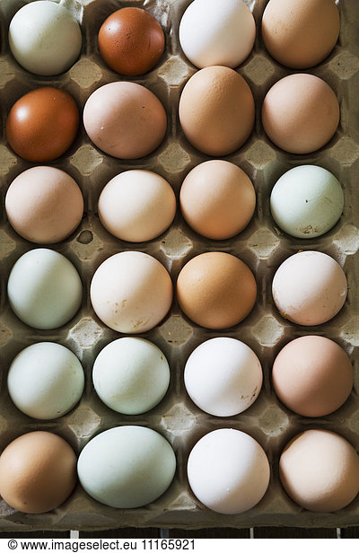 A tray of fresh organic eggs  in a variety of colours.