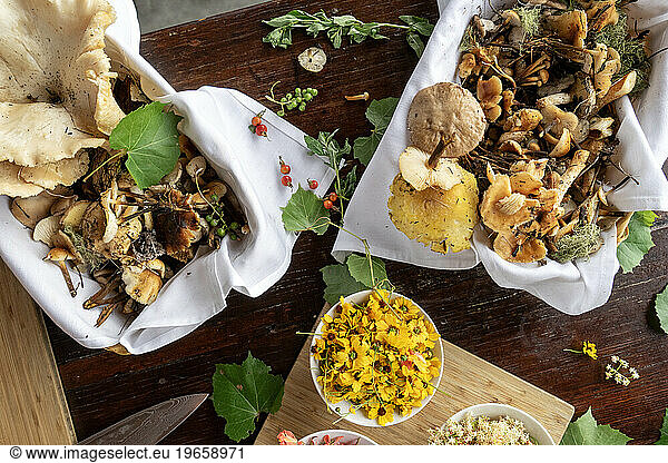 A variety of foraged ingredients on display table looking down