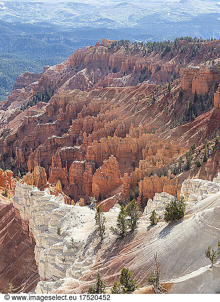 A view of the amphitheater from the rim at 10000 feet in Cedar Breaks National Monument  Utah  United States of America  North America