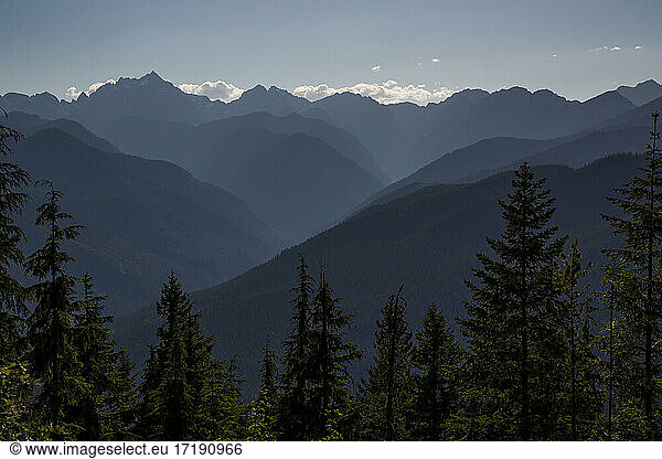 A view overlooking Olympic National Park  WA.