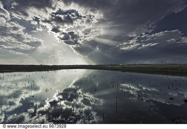 A view to the horizon with clouds and a mirror reflection of the clouds on the water.
