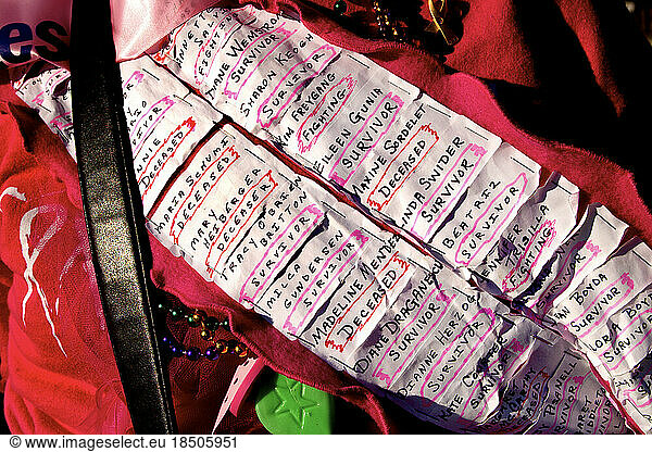 A walker bears a banner with names of victims and survivors of breast cancer during the Avon Walk for Breast Cancer in New York