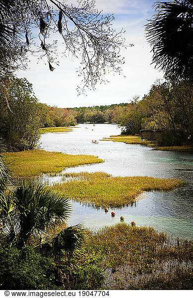 A water spring in Florida.