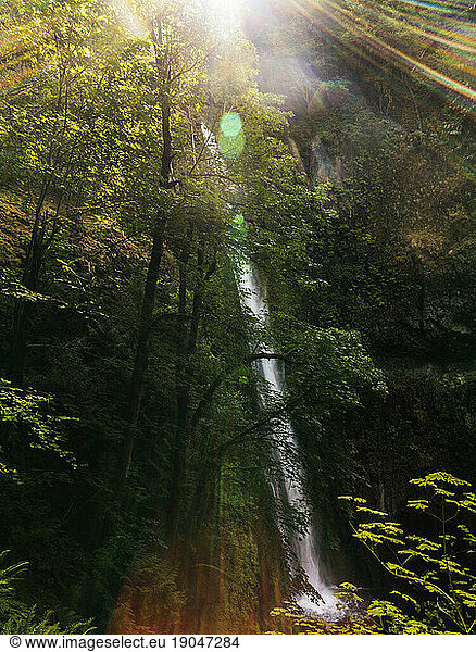 A waterfall on the Pacific Crest Trail along the Columbia River Gorge