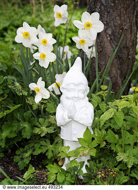 A white garden gnome.