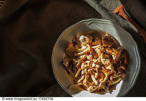 A white plate with chanterelles and a wooden spoon.
