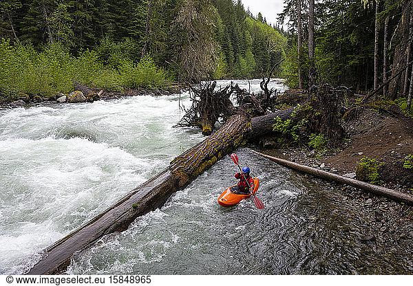 A white water kayaker prepares to enter the water on the Cheakamus.