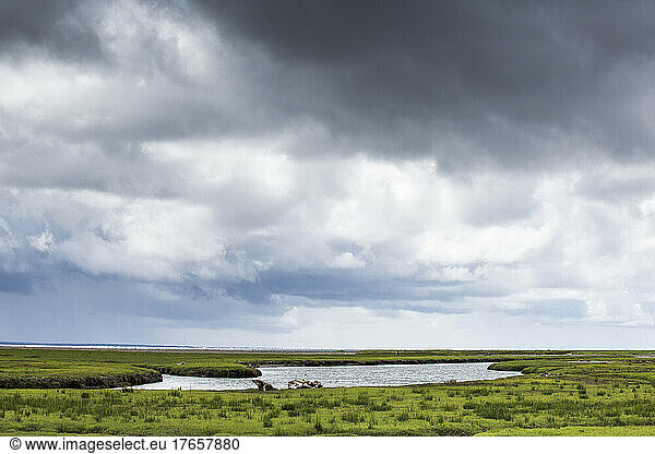 A wide marsh and estuary scene under dark clouds