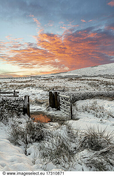 A winter scene at Wildboarclough  Peak District National Park  Cheshire  England  United Kingdom  Europe