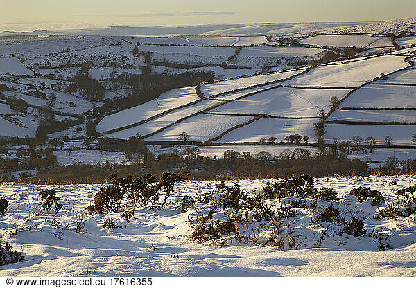 A wintery view of Hameldown  near Widecombe-in-the-Moor  Dartmoor National Park; Devon  England