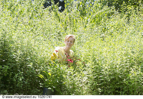 A woman among dense plantings of flowers and tall green and flowering plants at a commercial nursery.