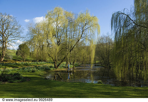 A woman and a dog standing on a jetty on a lake  with weeping willow fronds reaching down to the water.