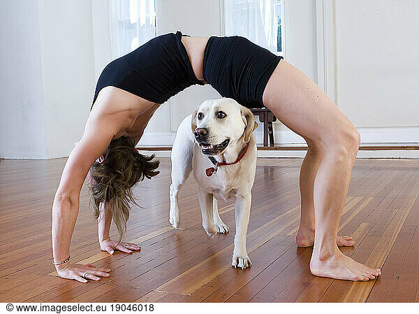 A woman does yoga while her dog looks on in San Francisco  California.