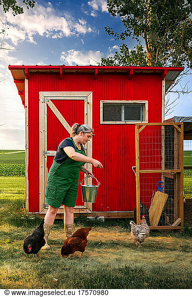 a woman feeding chickens on a farm