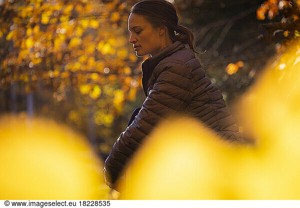 A woman in a warm jacket sitting in the forest of yellow leaves