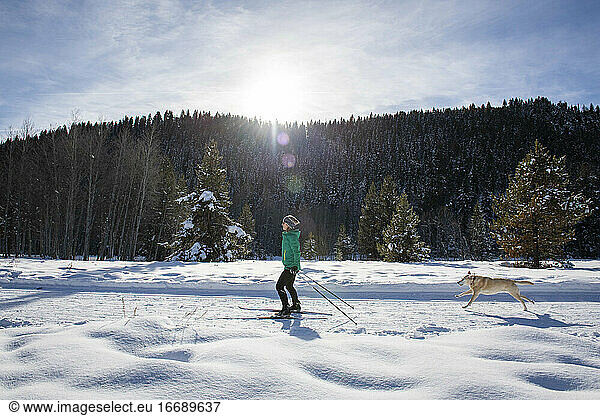 A woman nordic skiing with her dog on a crisp winter day.