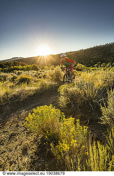A woman riding a mountain bike outdoors just before sunset.