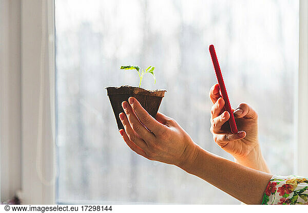 A woman takes pictures with a retro camera of the plants that she has grown in her home garden for her blog.