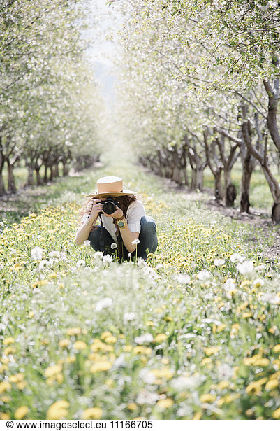 A woman taking photographs in an orchard among wild flowers.