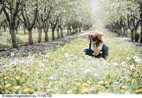 A woman taking photographs in an orchard among wild flowers.