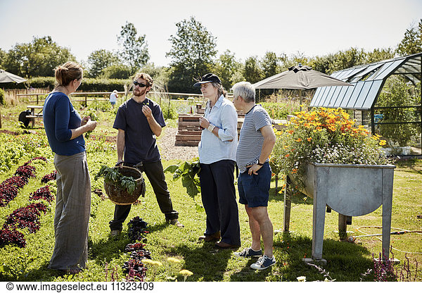 A woman talking to three people about safe edible plants  seeds and flowers.