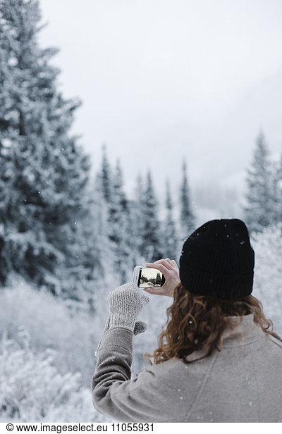A woman using a smart phone  photographing pine forests in snow