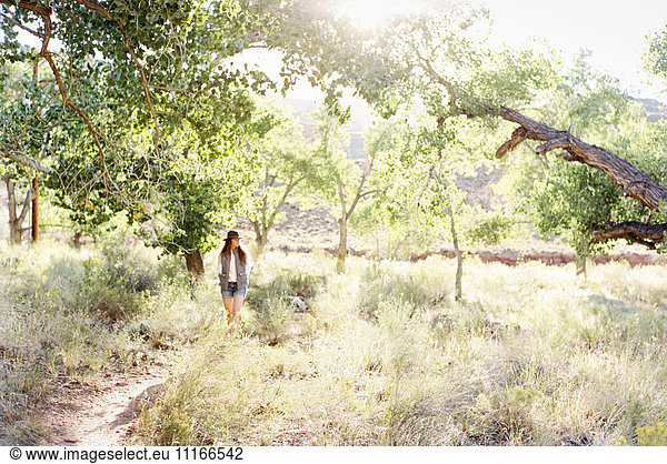 A woman walking through trees on a path in sunshine.