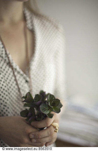 A woman wearing a dress and necklace  holding a small bunch of red and green plant leaves. Cologne mint leaves.