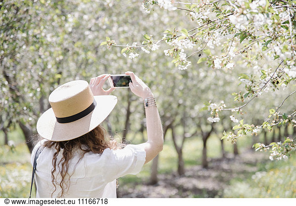 A woman wearing a straw hat taking photographs in an orchard among wild flowers.