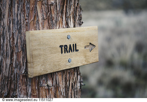 A wooden sign on a tree on the trail in the John Day Fossil Beds National Monument  Oregon