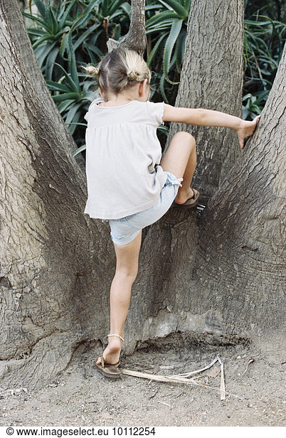 A young blond haired girl climbing a tree.