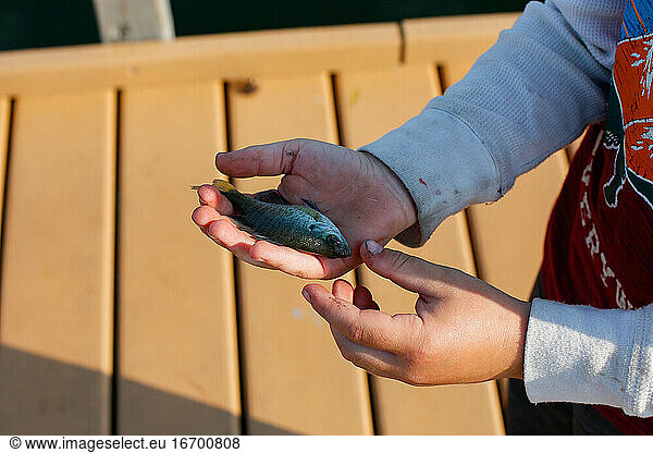 A young boy holding a small fish on a pier