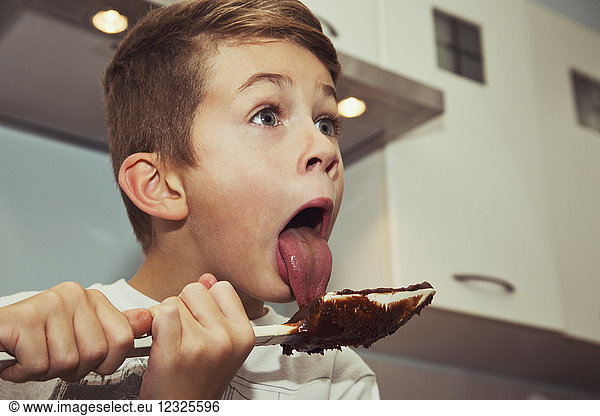 A young boy licks the chocolate from the spatula after making fudge; Langley  British Columbia  Canada