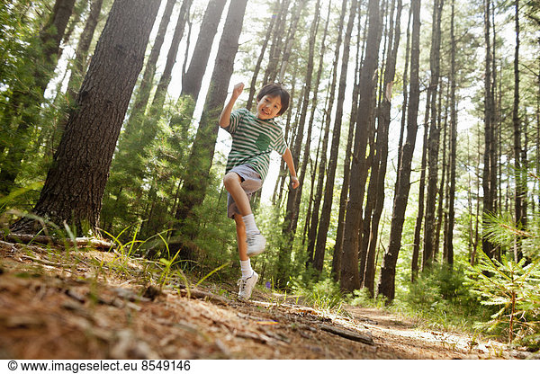 A young boy playing in the pine forest surrounded by tall straight tree trunks.