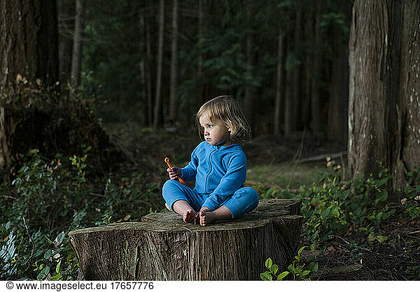 A young child sits on tree stump in forest at dusk