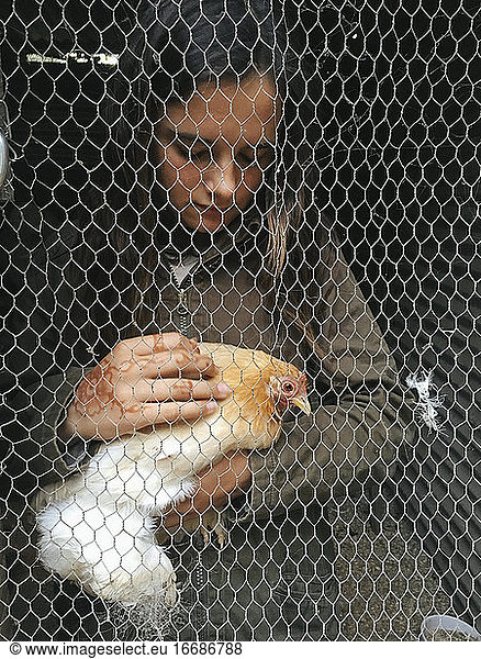 A young girl cuddling a bantam chicken behind a wire fence